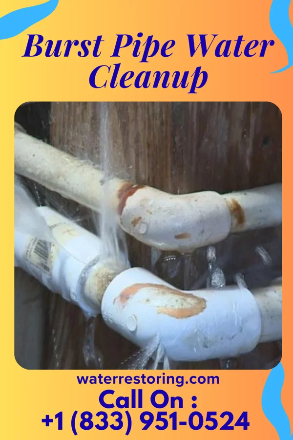 Burst Pipe Water Cleanup in Parker, PA