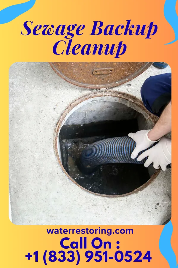 Sewage Backup Cleanup in Parker, PA